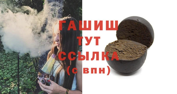 индика Белокуриха